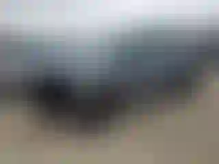 Vehicle Image- 2023 Kia Telluride