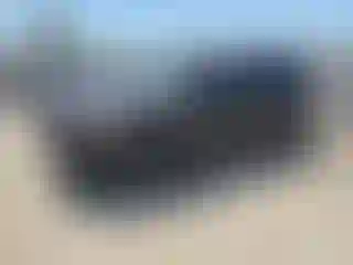 Vehicle Image- 2021 Kia Telluride