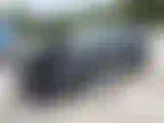 Vehicle Image- 2024 Kia Telluride