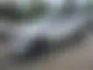 Vehicle Image- 2024 Kia Telluride