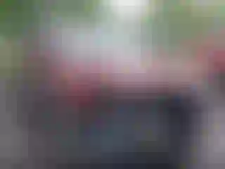 Vehicle Image- 2023 Kia Telluride