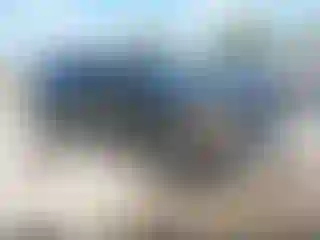 Vehicle Image- 2025 Kia Telluride