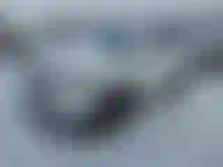 Vehicle Image- 2024 Kia Telluride