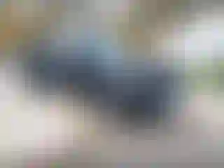 Vehicle Image- 2024 Kia Telluride