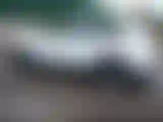 IMPORTOWO.pl