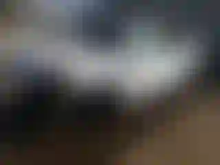 Vehicle Image- 2023 Kia Telluride