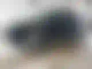 Vehicle Image- 2020 Kia Telluride