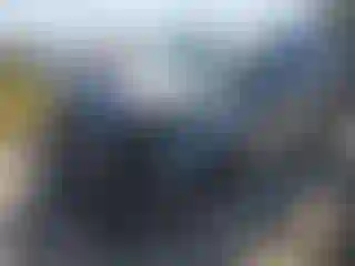 Vehicle Image- 2020 Kia Telluride
