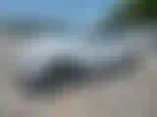 Vehicle Image- 2017 Kia Sorento