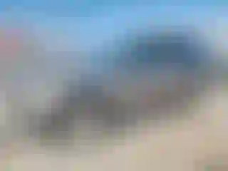 Vehicle Image- 2016 Kia Sorento