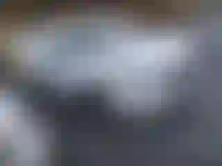 Vehicle Image- 2016 Kia Sorento