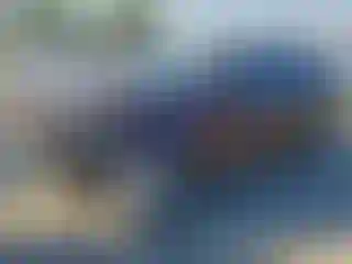 Vehicle Image- 2019 Kia Sorento