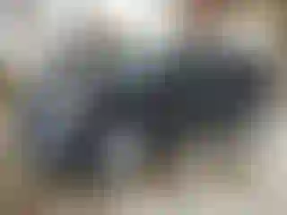 Vehicle Image- 2016 Kia Sorento