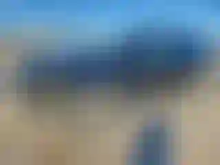 Vehicle Image- 2016 Kia Sorento