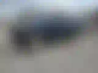 Vehicle Image- 2019 Kia Sorento