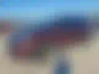 Vehicle Image- 2020 Kia Sorento