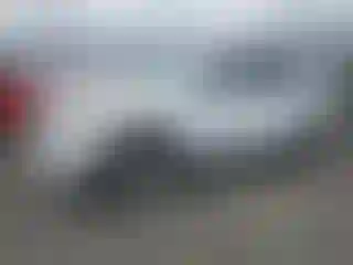 Vehicle Image- 2019 Kia Sorento