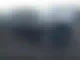 Vehicle Image- 2019 Kia Sorento