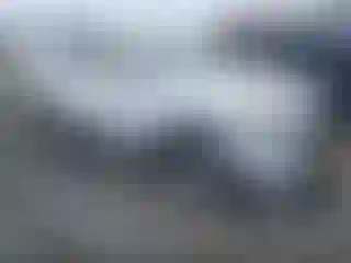 Vehicle Image- 2020 Kia Sorento