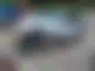 Vehicle Image- 2020 Kia Sorento