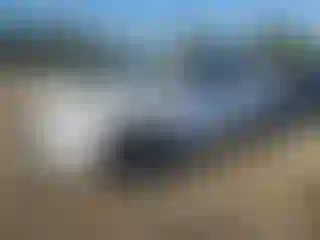 Vehicle Image- 2016 Kia Sorento