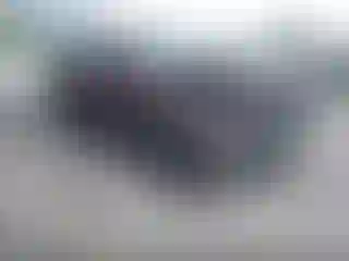 Vehicle Image- 2016 Kia Sorento