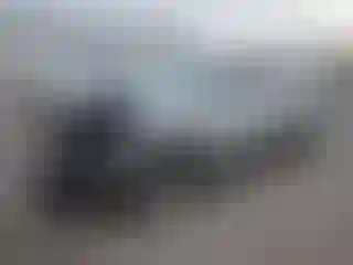 Vehicle Image- 2019 Kia Sorento