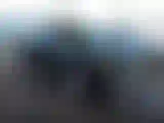 Vehicle Image- 2025 Kia Sorento