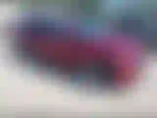 Vehicle Image- 2023 Kia Sorento