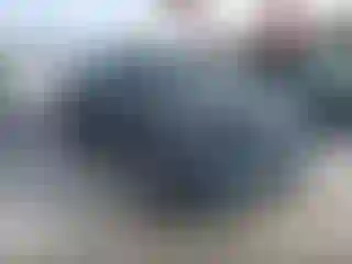 Vehicle Image- 2021 Kia Sorento