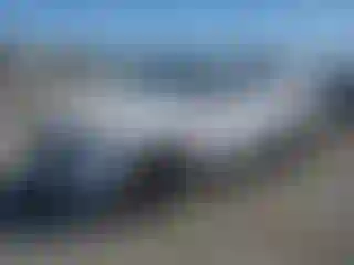 Vehicle Image- 2022 Kia Sorento