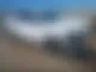 Vehicle Image- 2024 Kia Sorento