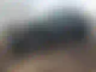 Vehicle Image- 2024 Kia Sorento