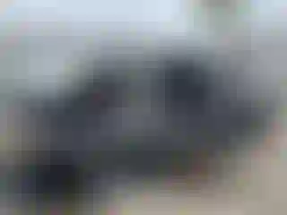 Vehicle Image- 2024 Kia Sorento
