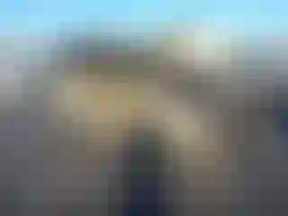 Vehicle Image- 2025 Kia Sorento