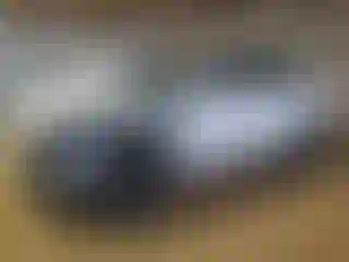 Vehicle Image- 2024 Kia Sorento