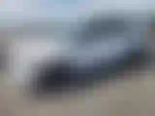 Vehicle Image- 2022 Kia Sorento