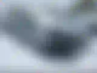 Vehicle Image- 2024 Kia Sorento