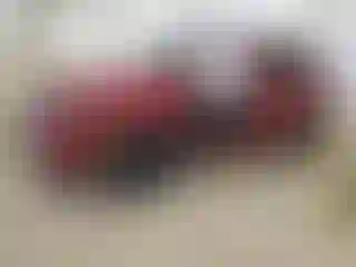 Vehicle Image- 2022 Kia Sorento