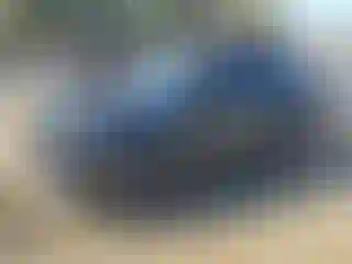 Vehicle Image- 2021 Kia Sorento