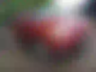 Vehicle Image- 2011 Hyundai Santa