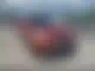Vehicle Image- 2015 Hyundai Santa