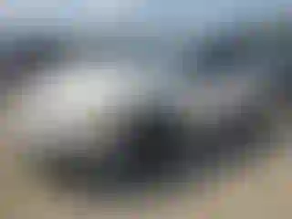 Vehicle Image- 2004 Pontiac Vibe