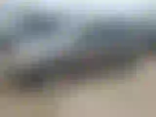 Vehicle Image- 2005 Pontiac Vibe
