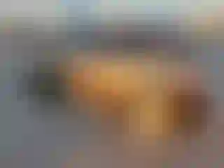 IMPORTOWO.pl