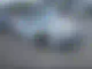 Vehicle Image- 2024 Toyota Corolla