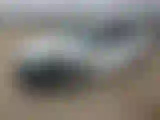 Vehicle Image- 2025 Toyota Corolla