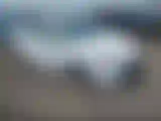 Vehicle Image- 2023 Toyota Corolla