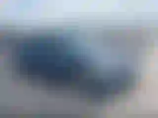 Vehicle Image- 2024 Toyota Corolla