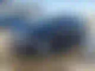 Vehicle Image- 2023 Toyota Corolla